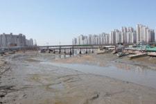 사람이 그립다면 소래포구 …자연을 걷고 싶다면 습지생태공원