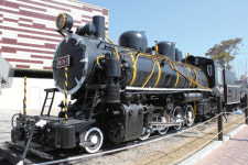 사람이 그립다면 소래포구 …자연을 걷고 싶다면 습지생태공원