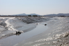 사람이 그립다면 소래포구 …자연을 걷고 싶다면 습지생태공원