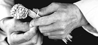 [포토에세이] 마법의 손