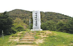 [주말여행] 청량한 숲 사이 옛길