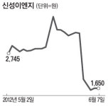 무상증자의 힘!…셀트리온 상한가 이어 신성이엔지·키스톤 선방