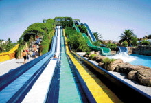 [양지 파인 아쿠아] 워터파크 된 스키장 슬로프 스릴 `생생`