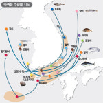 명태·갈치 `품귀` 참치는 `풍어`…한반도 수산물 지도 바뀐다