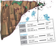 꿈을 먹고 큰 SNS, 확실한 수익모델 없어 `허우적`