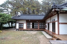 [여행이 최고]가을을 부르는 향기 가평 축령산 잣나무숲