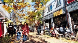 新카페거리로 떠오른 정자·보정·백현동 가보니…