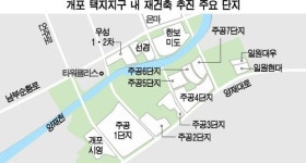 본궤도 오른 강남개포 재건축…강북 뉴타운은 줄줄이 무산