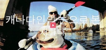 [트래블리포트] 3500만 감독이 추천한 진짜 캐나다