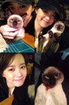 구혜선, 애완묘 쌈과 다정샷 찰칵