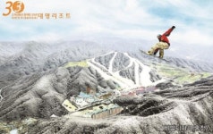 대명리조트 특별분양! 지금이 절호의 구입기회! 스키, 골프, 오션월드, 리조트를 회원권 하나로