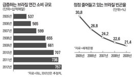 비즈니스 엘도라도 브라질…2억명 내수시장 기다린다