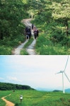 [Outdoor Life]잘닦인 숲길을 걷는다…임도 트레킹