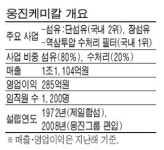 웅진케미칼 인수전 흥행 대박