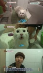 ‘동물농장’ 나갈래 고양이 등장, “나갈래”라는 소리로 감정표출