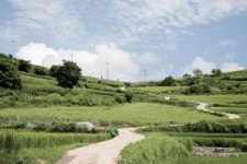 [국내여행]창의적 여름 휴가를 계획하다…시골 마을 하안거 夏安居