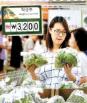 `팍팍한 살림살이` 농산물값 치솟고 수도·가스료도 뛰어