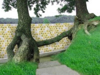 힐링캠프 촬영지 메이다이닝, ‘애정촌’ 되겠네