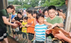 [포토] 토종닭 효능 극대화한 자연계 한약닭 인기절정