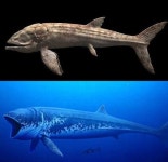 15m 진격의 물고기, “공룡과 함께 멸종...신기할 뿐”