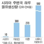시리아 공습, 국제사회 신중론 대두