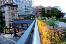 [한미글로벌 공동기획]세계의 건축·건축사 | 뉴욕 하이라인 파크…도심을 가르는 1.6km 하늘길