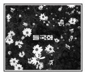 원년멤버 컴백 들국화, 새 앨범도 ‘들국화’‥오늘(6일) 공개