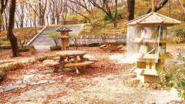 [Forest Library]자연을 벗삼아 책에 빠지다…숲 속 작은 도서관 탐험기