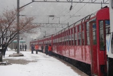 코레일, 관광열차 4일부터 순차적 운행 재개…환상선 눈꽃열차는 14일부터