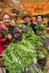 신세계백화점, 로컬푸드 `아침야채`선보여