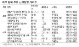 대구·경북 올 상반기 1만가구 공급…신규 분양 호조