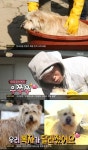 ‘사남일녀’ 서장훈, 복실이 목욕 성공 ‘동물애호가 입증’