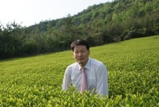 [차(茶) 이야기] 햇차가 기다려지는 5월의 힐링 타임