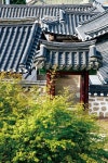[Healing]본질을 향한 그 길…인천 강화산성길