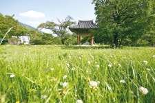 일일캠퍼 김애진의 소소한 여행기 ‘함양 용추자연휴양림’ 혼자라서 더 좋은 숲속