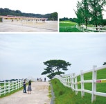 [가볍게 떠나는 수도권 여행]푸른 세상 즐거운 데이트 `서삼릉누리길`