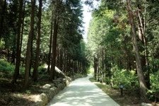 전남 여행지 ‘자연 있는 그대로의 모습’ 느랭이골