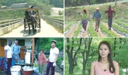 [MBN]발품 버라이어티 달려라 꽃마차…느리지만 속은 꽉 찬 ‘방송 퀵 서비스’