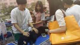 [2014 전문대학 엑스포] 서정대 애완동물과, 애견 좋아하는 학생들 전문 직업으로