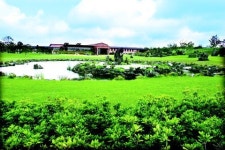 제주 골프, 솔향기 맡으며 상쾌한 샷 날려볼까