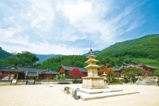 충주 화양동 야영장·밀양 표충사 야영장·남원 뱀사골 야영장 `더위타파 계곡 캠핑`
