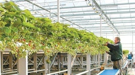 한국 농업, ICT기술·스토리텔링 심어 세계제패 나서야