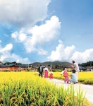 [한가위] 꿈길을 밟듯, 고향길을 걷다