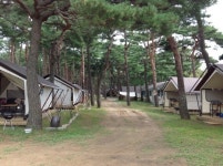 송이의 고장 양양오토캠핑장