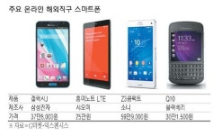 이번엔 해외직구로 스마트폰 산다