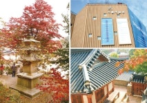 [Hot Place] DDP가 안내한 가을 부암동