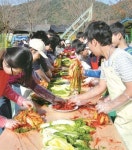 [알아둡시다] 정보화마을, 친환경 배추마늘로 담그는 김장체험