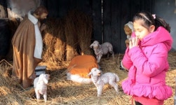 [포토] 명동성당 스케치