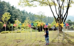 [독자 앨범] 서정일 (서울 은평구 증산로)