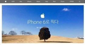 서울 올림픽공원 `나홀로` 나무, 전세계 대표하는 사진에…왜?